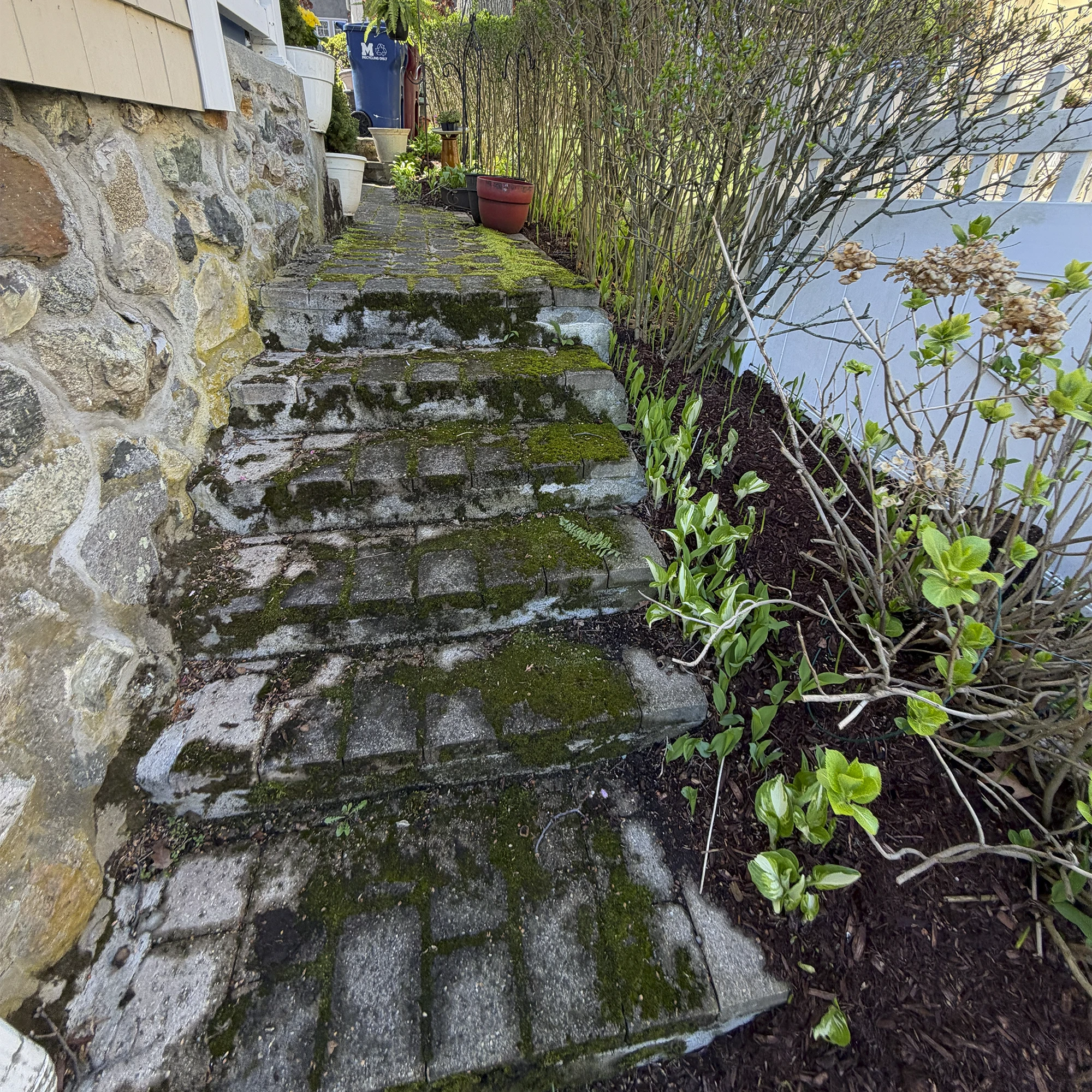 Pressure washing before1
